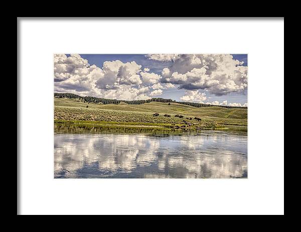 Yellowstone Framed Print featuring the photograph Yellowstone Lake and Bison by Chance Kafka