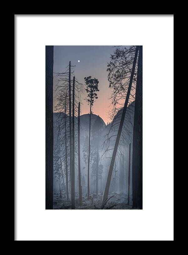 Yosemite National Park. Trees Framed Print featuring the photograph Yosemite Np by Larry Deng
