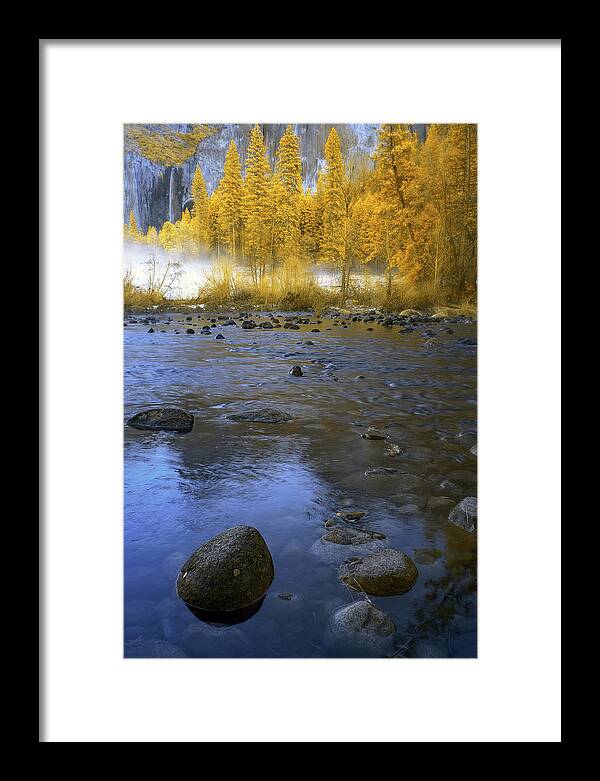 Yosemite Framed Print featuring the photograph Yosemite River in Yellow by Jon Glaser