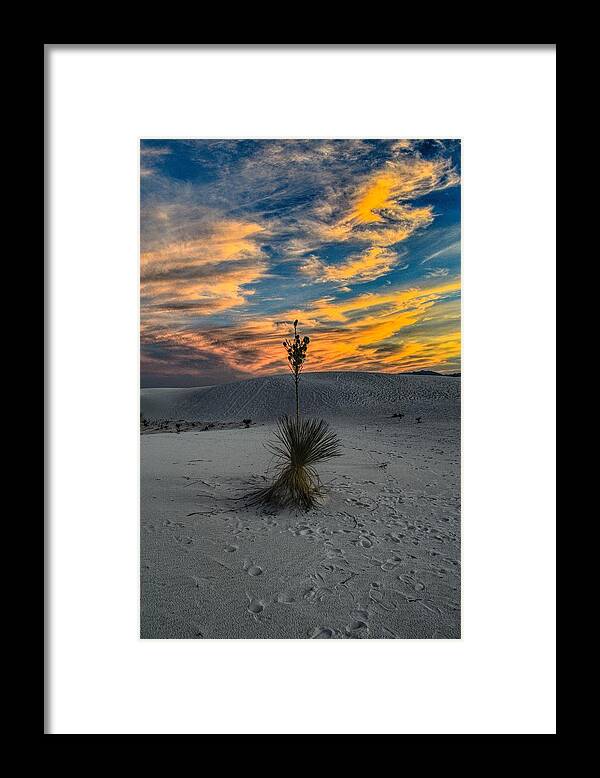 White Sands Framed Print featuring the photograph Yucca Sunset Skies at White Sands, New Mexico by Chance Kafka