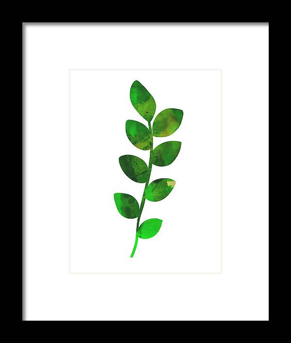 Zamioculcas Leaf Framed Print featuring the mixed media Zamioculcas Leaf by Naxart Studio