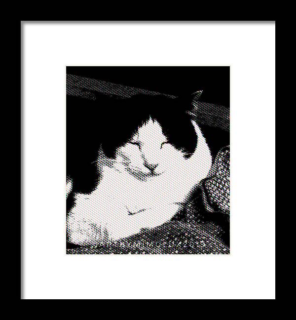 Cat Framed Print featuring the photograph Zen Cat by Mimulux Patricia No