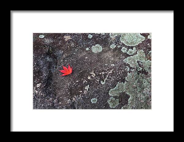 Tranquility Framed Print featuring the photograph Zen Garden Detail At Kyotos Ginkaku-ji by B. Tanaka