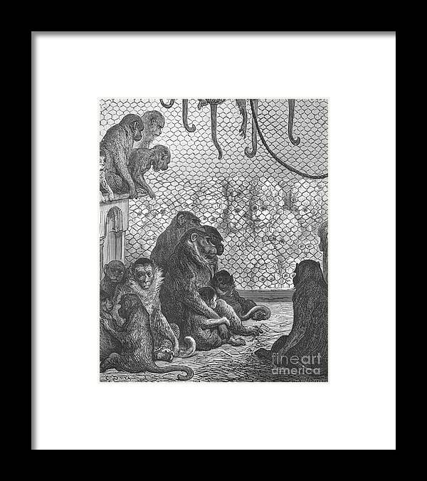 Regents Park Framed Print featuring the drawing Zoological Gardens - The Monkey House by Print Collector