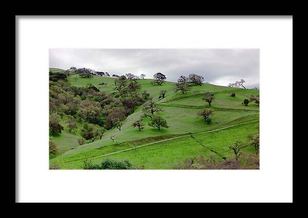 Zorro Framed Print featuring the photograph Zorro Country by Rick Lawler
