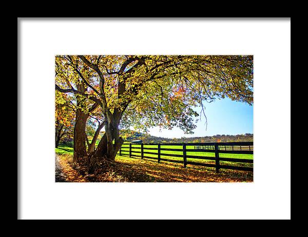Color Framed Print featuring the photograph A Virginia Byway 2 #1 by Alan Hausenflock