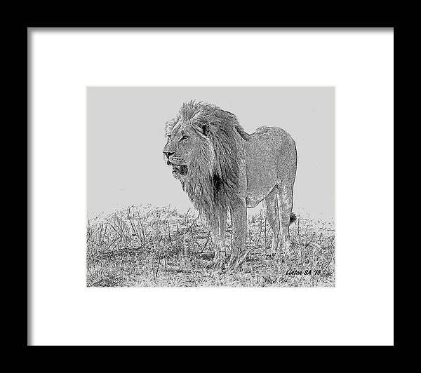 Digital Art Framed Print featuring the digital art African Lion 2 #1 by Larry Linton