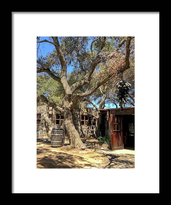 Valle De Guadalupe Framed Print featuring the photograph Among the Oaks #2 by William Scott Koenig