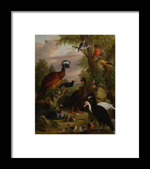  Framed Print featuring the drawing An assembly of birds in a parkland landscape #1 by Jakob Bogdany Hungarian