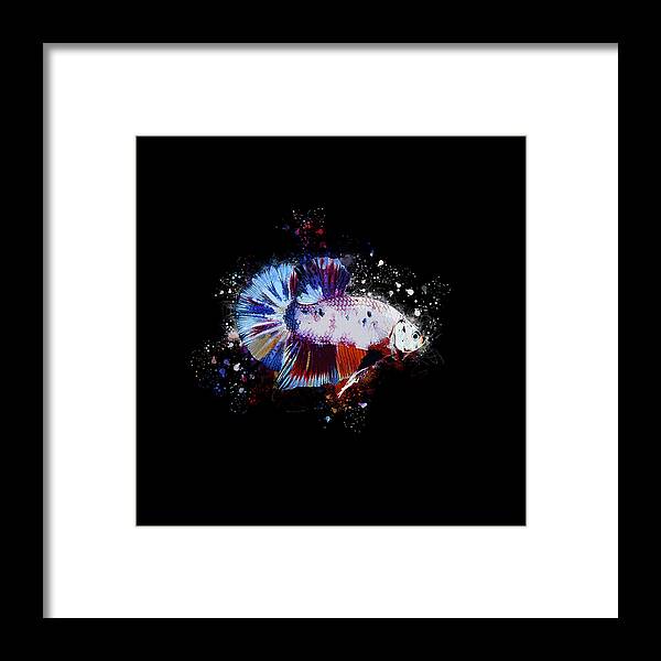 Artistic Framed Print featuring the digital art Artistic Candy Multicolor Betta Fish by Sambel Pedes