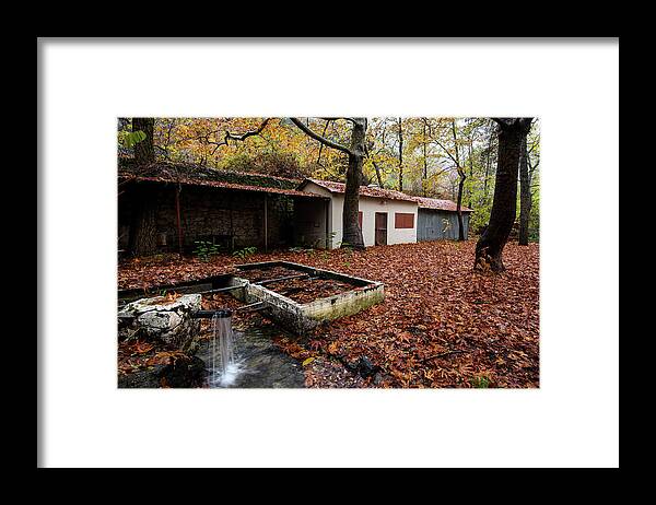 Autumn Framed Print featuring the photograph Autumn Landscape #1 by Michalakis Ppalis