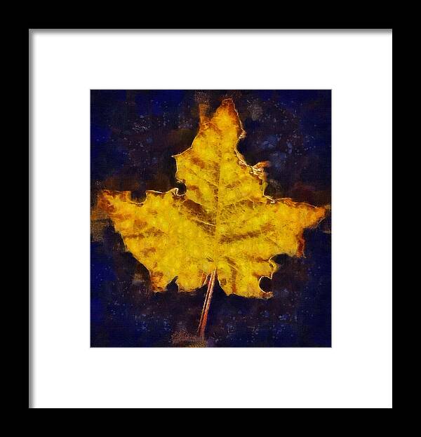 Autumn Framed Print featuring the mixed media Autumn Leaf by Christopher Reed