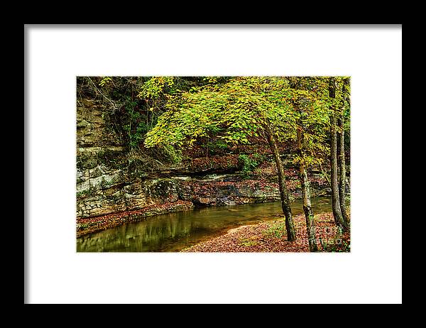 Strange Creek Framed Print featuring the photograph Autumn on Strange Creek #1 by Thomas R Fletcher