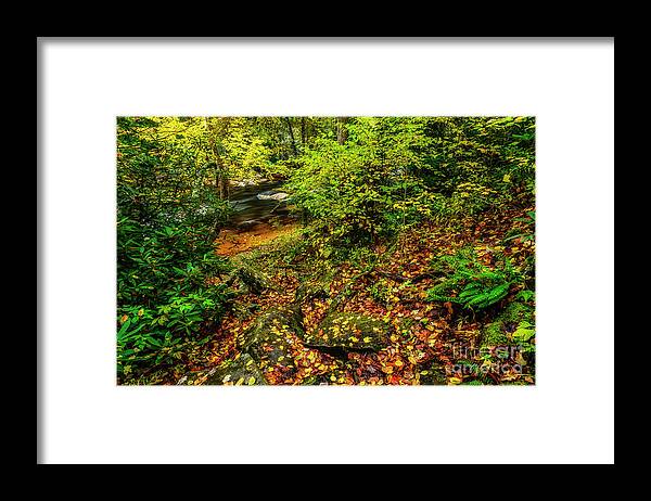 Cranberry River Framed Print featuring the photograph Autumn Rain Cranberry River #1 by Thomas R Fletcher