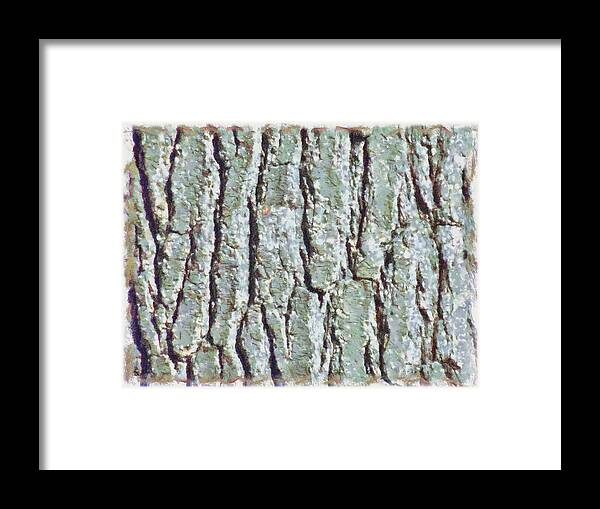 Bark Framed Print featuring the mixed media Bark Texture by Christopher Reed