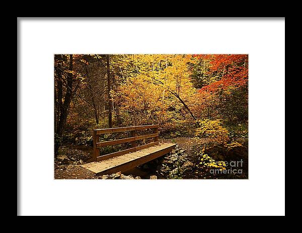 Landscape Framed Print featuring the photograph Bridge to Autumn #1 by Larry Ricker