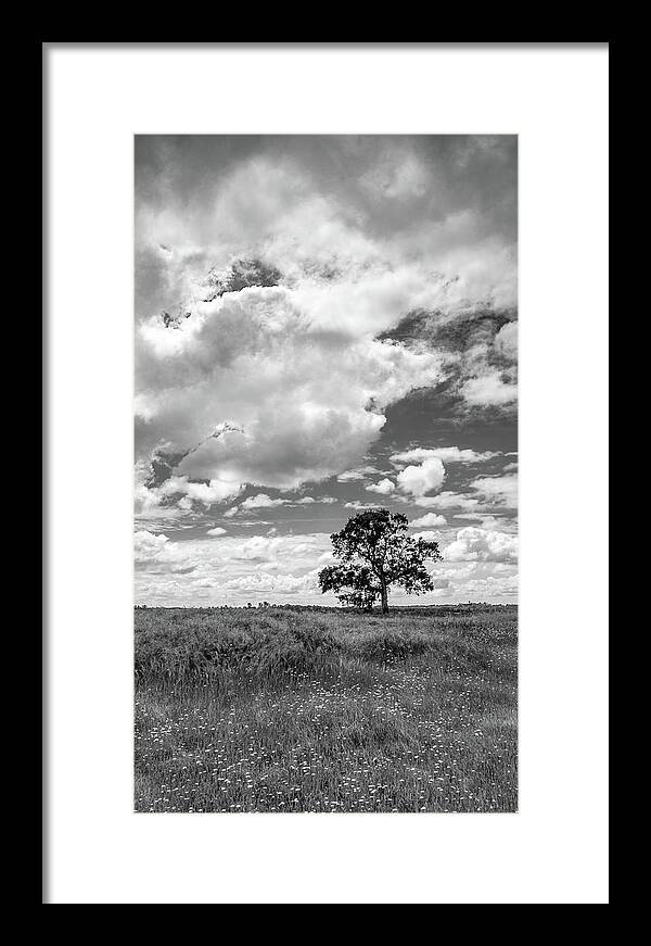 Beautiful Framed Print featuring the photograph California Spring Meadow #1 by Mike Fusaro