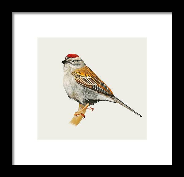 Chipping Sparrow Framed Print featuring the painting Chipping Sparrow #1 by Angeles M Pomata