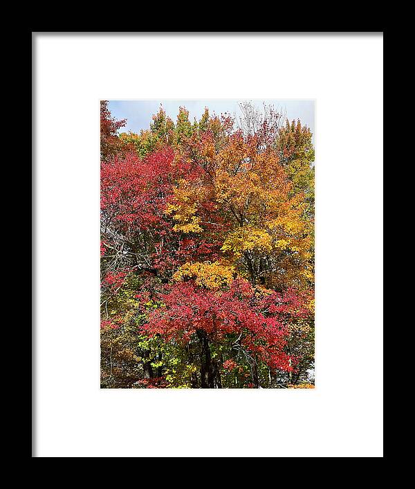 Prettyplace Framed Print featuring the photograph Colors by Matthew Seufer