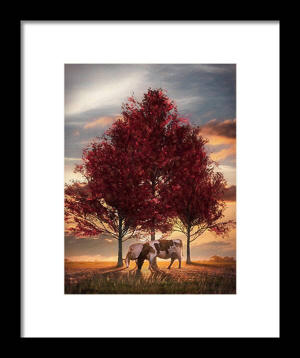Animals Framed Print featuring the photograph Cows in Sunset Light on the Farm Painting #1 by Debra and Dave Vanderlaan