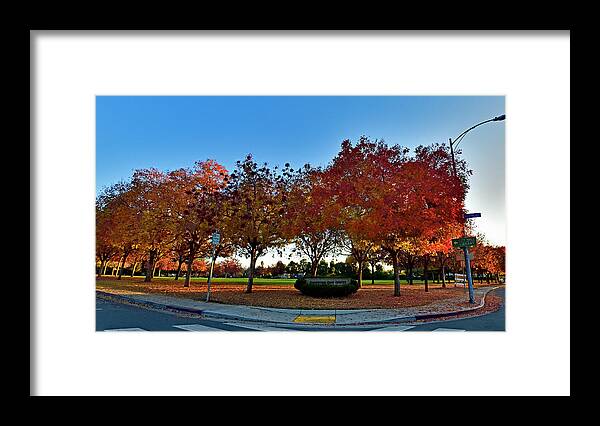 Cupertino Framed Print featuring the photograph Cupertino Civic Center #1 by Amazing Action Photo Video