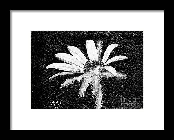 Daisy Framed Print featuring the drawing Daisy #1 by Garry McMichael