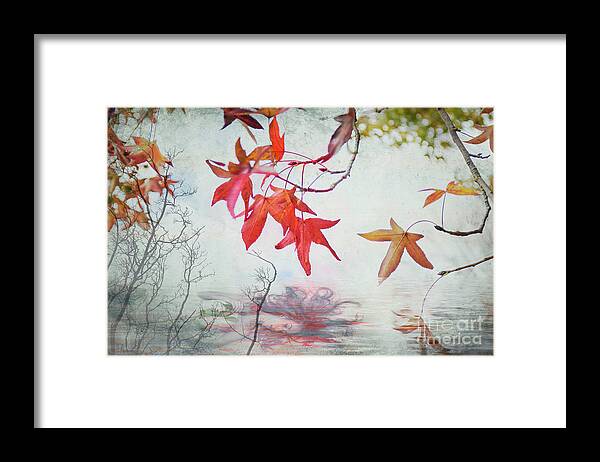 Autumn Framed Print featuring the photograph Death in Autumn #1 by Elaine Teague