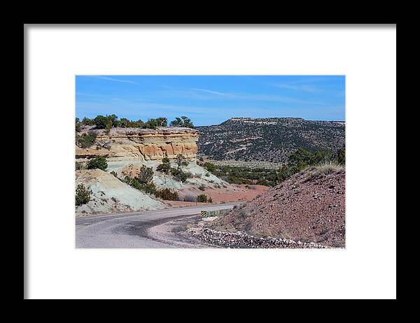 New Framed Print featuring the photograph Desert Southwest #1 by Liza Eckardt