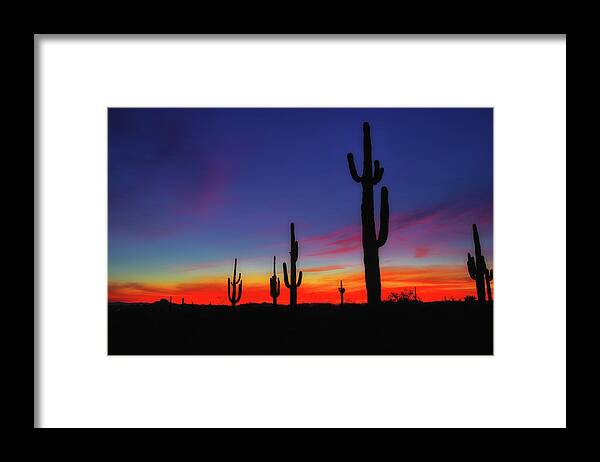 Desert Framed Print featuring the photograph Desert Sunset by Bob Falcone