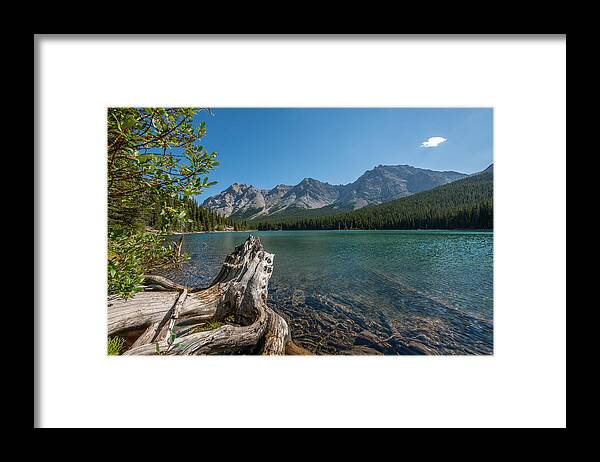 Water Framed Print featuring the photograph Driftwood at Elbow Lake #1 by Phil And Karen Rispin