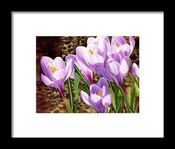 Crocus Framed Print featuring the painting Early Spring #1 by Espero Art