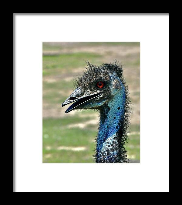 Emu Framed Print featuring the photograph Emu by Sarah Lilja
