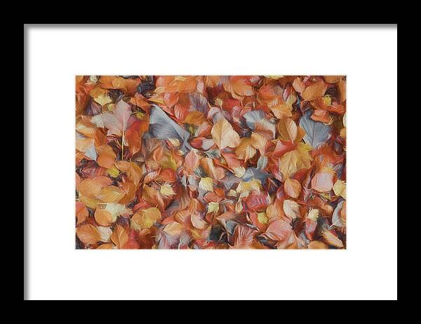  Framed Print featuring the photograph Fallen Leaves 2 #1 by Roy Pedersen