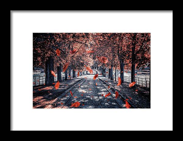Autumn Framed Print featuring the photograph Falling Leaves #1 by Manjik Pictures