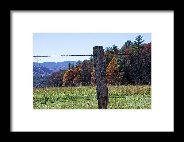 Cades Cove Framed Print featuring the photograph Fence Post #1 by Phil Perkins