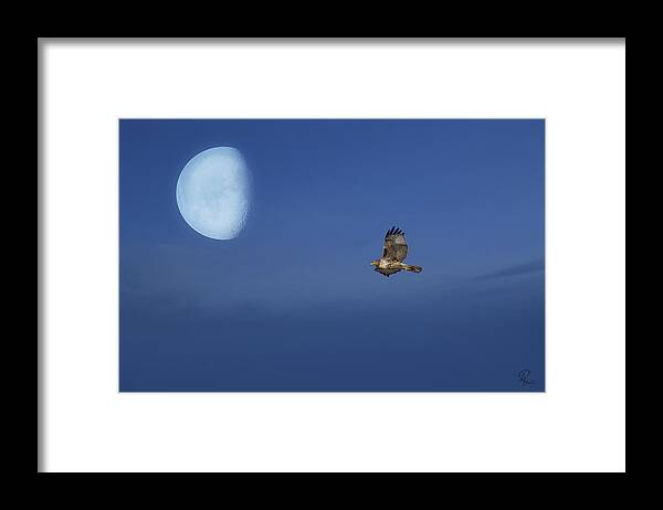 Raptor Framed Print featuring the photograph Fly Me To the Moon #1 by Robert Harris