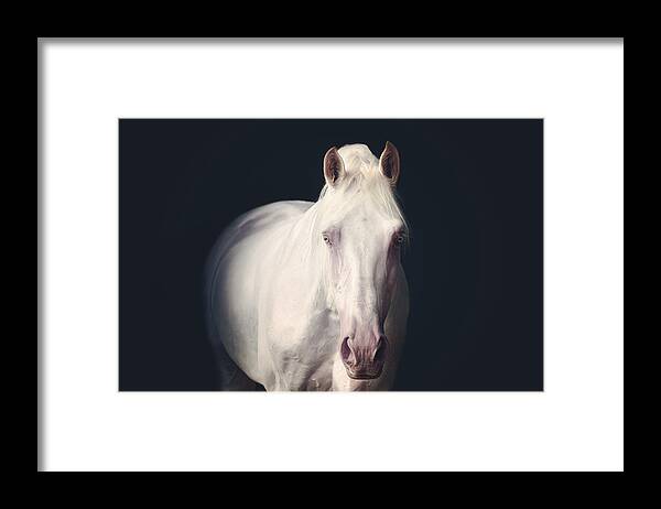 Photographs Framed Print featuring the photograph From the shadows - Horse Art #1 by Lisa Saint