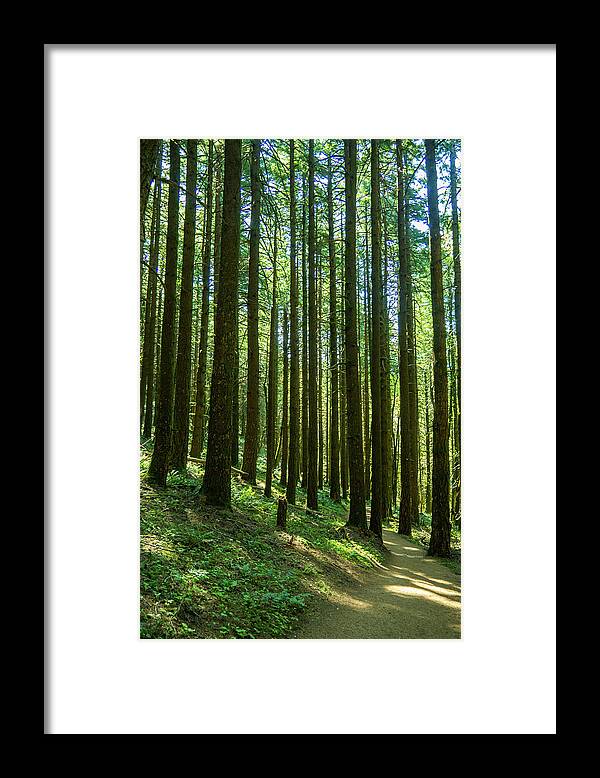 Columbia River Gorge Framed Print featuring the photograph Go Take A Hike by Leslie Struxness