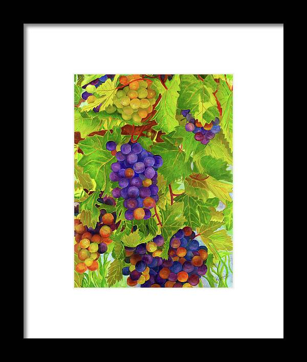 Vineyard Framed Print featuring the painting Grapevine #1 by David Hardesty