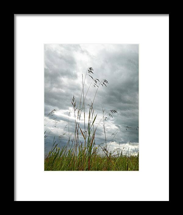 Sky Framed Print featuring the photograph Grass And Sky #1 by Phil And Karen Rispin