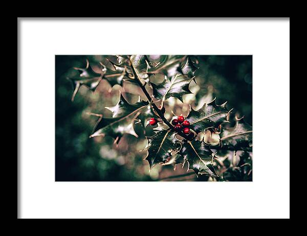 Holly Framed Print featuring the photograph Holly #1 by Gavin Lewis