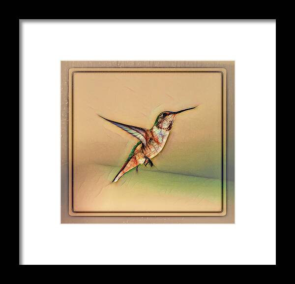 Linda Brody Framed Print featuring the digital art Hummingbird Art 1 by Linda Brody