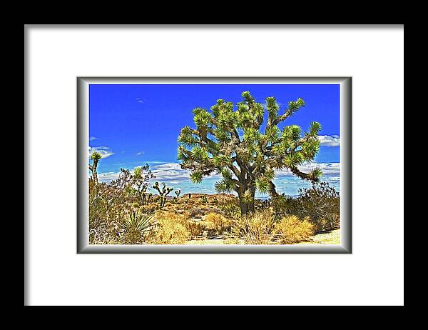 Joshua Framed Print featuring the photograph Joshua Tree #1 by Richard Risely