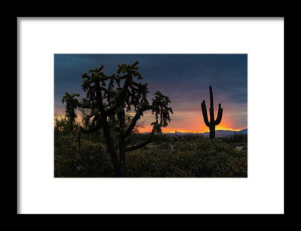 Saguaro Sunset Framed Print featuring the photograph Just Another Saguaro Sunset #1 by Saija Lehtonen