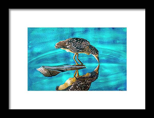 Heron Framed Print featuring the photograph Juvenile Black Crowned Night Heron by Rick Mosher
