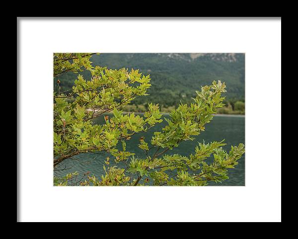 Greece Framed Print featuring the photograph Landscape in Greece #1 by Eleni Kouri