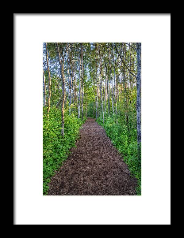 Path Framed Print featuring the photograph Lead the Way by Brad Bellisle