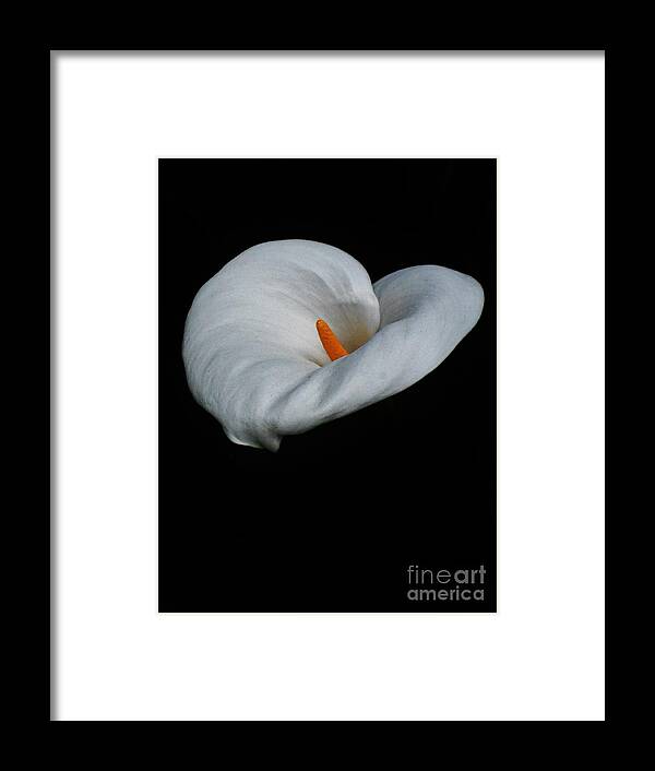 Lily Framed Print featuring the photograph Lily #1 by Jimmy Chuck Smith