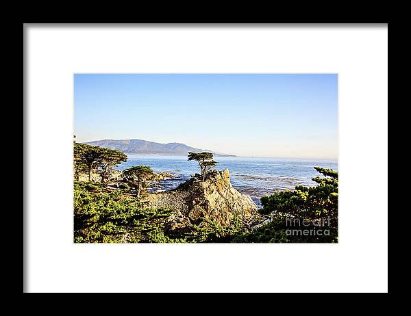 California Framed Print featuring the photograph Lone Cypress #2 by Scott Pellegrin