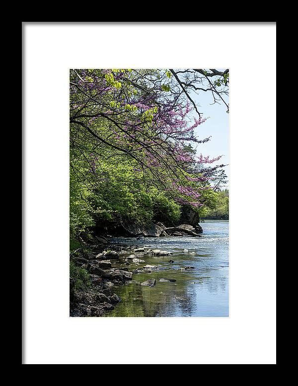 Kankakee Framed Print featuring the photograph Looking ahead #1 by Kim Sowa